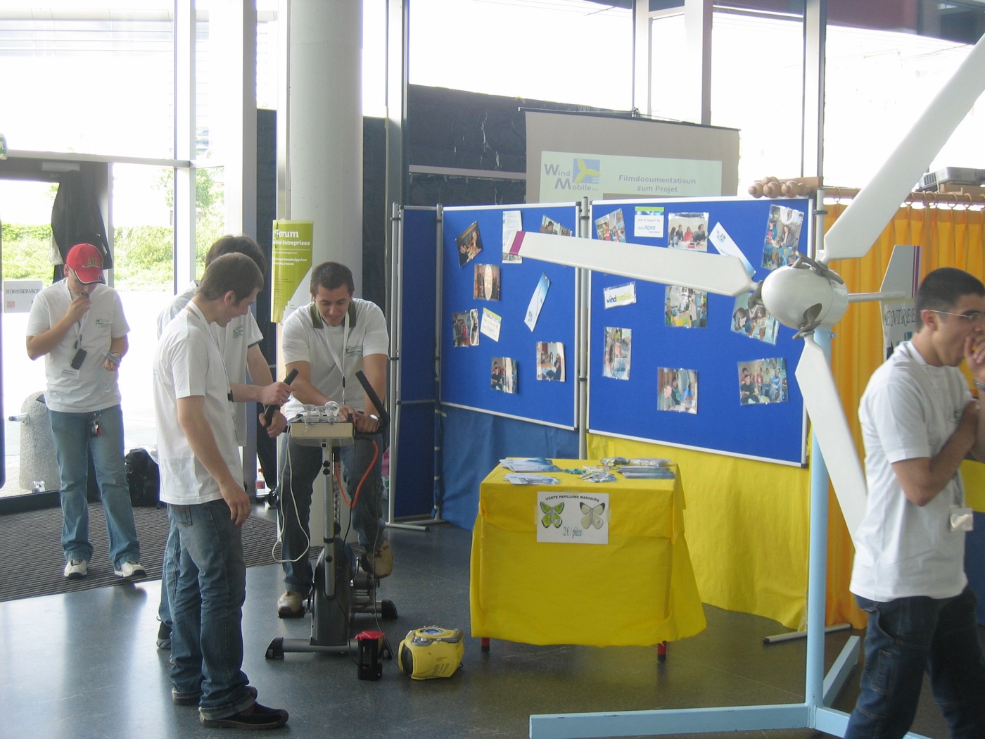 Infowand und Modelle